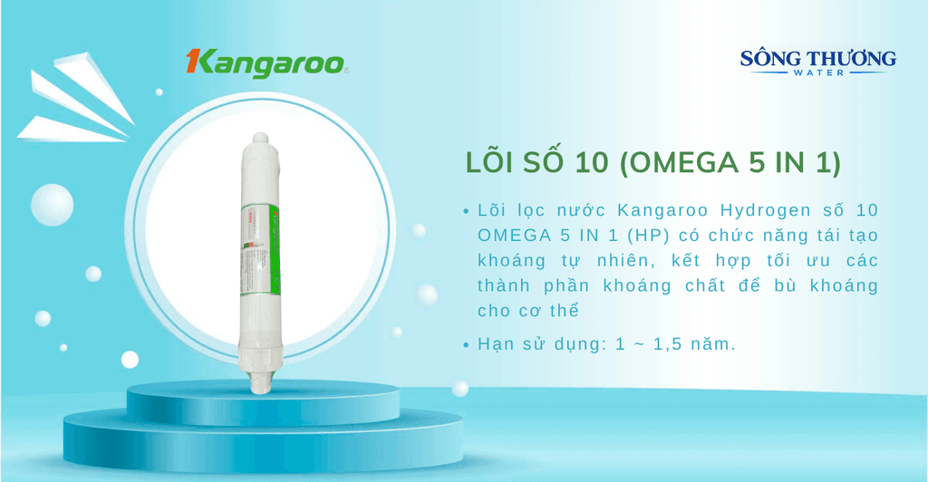 Thông tin lõi lọc số 10 Kangaroo